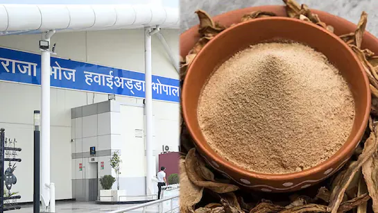 Engineer Jailed Over Amchur Powder Mistaken For Drugs, Here's What Happened Next