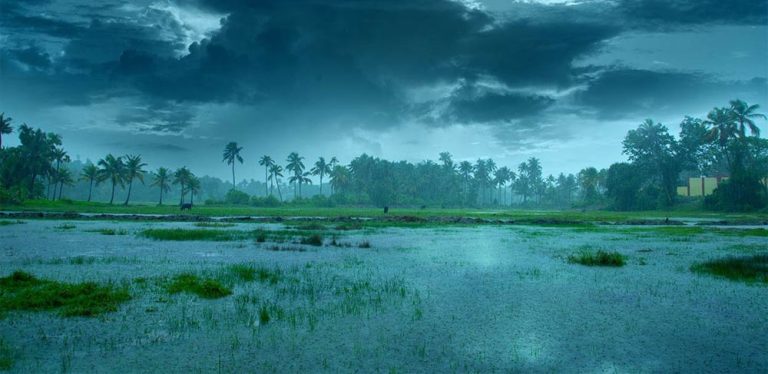 Ultimate Monsoon Travel Guide: Smart Packing, planning