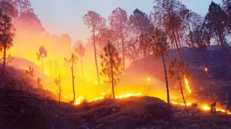 Forest Fires Spread Across J&K, Himachal And Uttarakhand Amid Heatwave