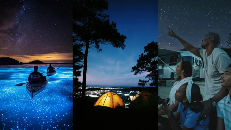 After Dark Adventures: Why Indian Travellers Are Embracing Noctourism