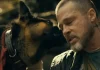 Brad Pitt Battles Alaska’s Wilderness With His Loyal Dog In ‘Heart Of The Beast’ Trailer Brad Pitt Battles Alaska’s Wilderness With His Loyal Dog In ‘Heart Of The Beast’ Trailer