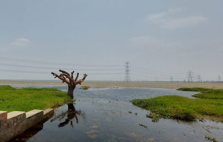 India Reaches a Conservation Milestone as Jai Prakash Narayan Bird Sanctuary Becomes the 100th Ramsar Site