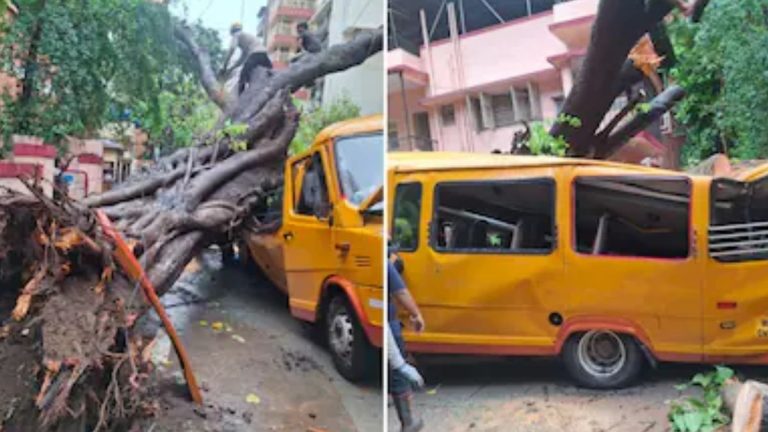 Mumbai Tree Collapse: Student Dies After Tree Falls On School Bus
