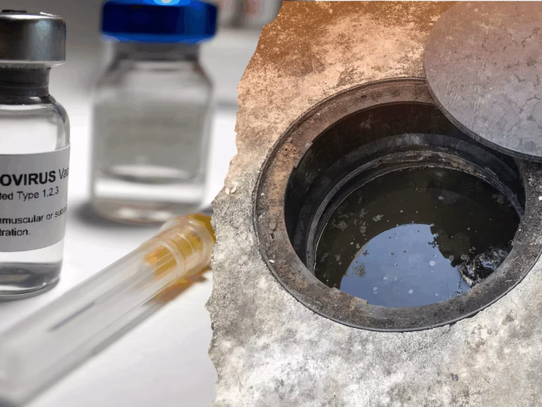 Polio Virus Detected in Ghaziabad Sewage: What It Means, Health Risks and Precautions for Families