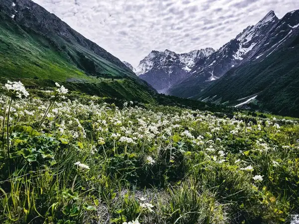 This UNESCO-Listed Himalayan Valley Has Reopened: Here's How To Visit