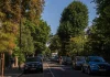 Urban Greening Alone Is Not Enough: Study Finds Smarter Planting Designs Would Cool Cities More Effectively Urban Greening Alone Is Not Enough: Study Finds Smarter Planting Designs Would Cool Cities More Effectively