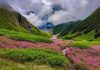 Haryana Tourist Missing In Valley Of Flowers, Search Intensifies Haryana Tourist Missing In Valley Of Flowers, Search Intensifies