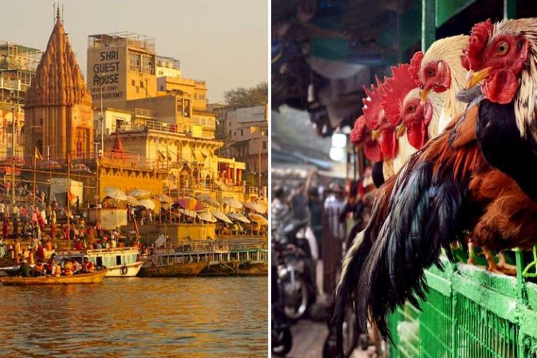 Varanasi to Relocate Meat and Fish Shops Outside City Limits, Civic Body Approves Plan