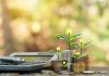 How To Build A Rs 5 Crore Retirement Corpus In 25 Years: SIP, Gold And PPF Strategy Explained How To Build A Rs 5 Crore Retirement Corpus In 25 Years: SIP, Gold And PPF Strategy Explained