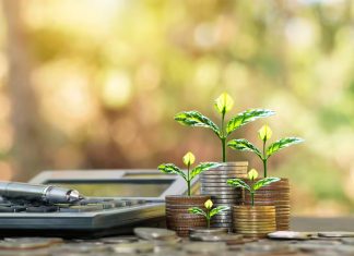 How To Build A Rs 5 Crore Retirement Corpus In 25 Years: SIP, Gold And PPF Strategy Explained How To Build A Rs 5 Crore Retirement Corpus In 25 Years: SIP, Gold And PPF Strategy Explained
