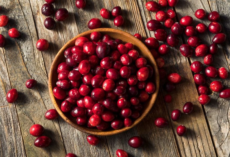 Can Cranberries Improve Digestion? Experts Explain Their Benefits For Gut Health