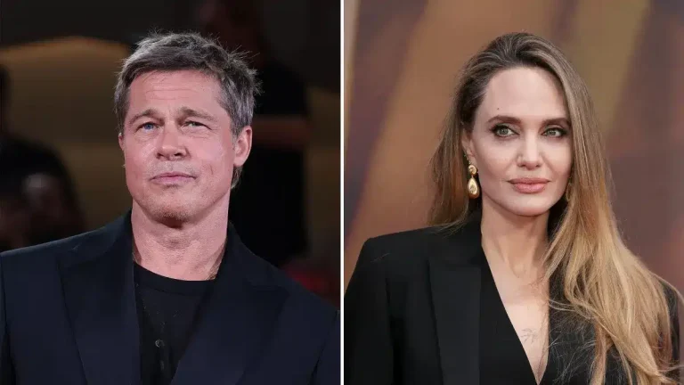 Brad Pitt Scores Legal Victory in Winery War With Angelina Jolie