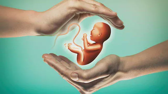India's Fertility Rate Drops Below Replacement Level, But 6 States Still Report Higher Birth Rates