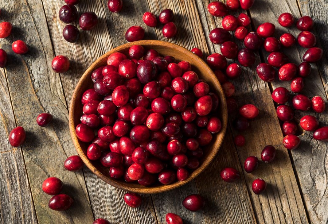 Can Cranberries Improve Digestion? Experts Explain Their Benefits For Gut Health