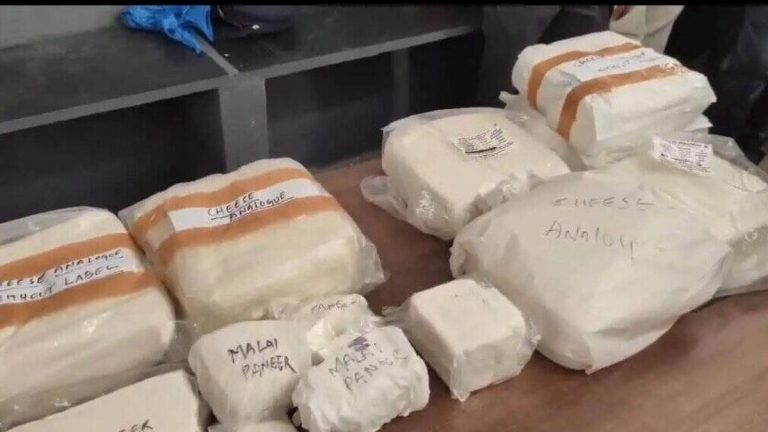 Hyderabad Police Seize 825 Kg Of Suspected Fake Paneer In Major Raid