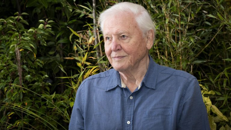 David Attenborough Becomes Oldest Primetime Emmy Nominee At 100, Earns Two Nominations
