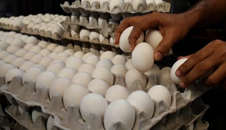 Eggs, Chicken and Seafood Prices Rise Faster Than Inflation In June, Increasing Household Food Bills