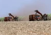 Gadkari Defends Ethanol Push, Says Biofuel Can Be Made From Rotting Fruits and Farm Waste Gadkari Defends Ethanol Push, Says Biofuel Can Be Made From Rotting Fruits and Farm Waste