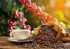 Global Coffee Prices Tumble As Supply Outlook Improves, Easing Earlier Weather Fears Global Coffee Prices Tumble As Supply Outlook Improves, Easing Earlier Weather Fears