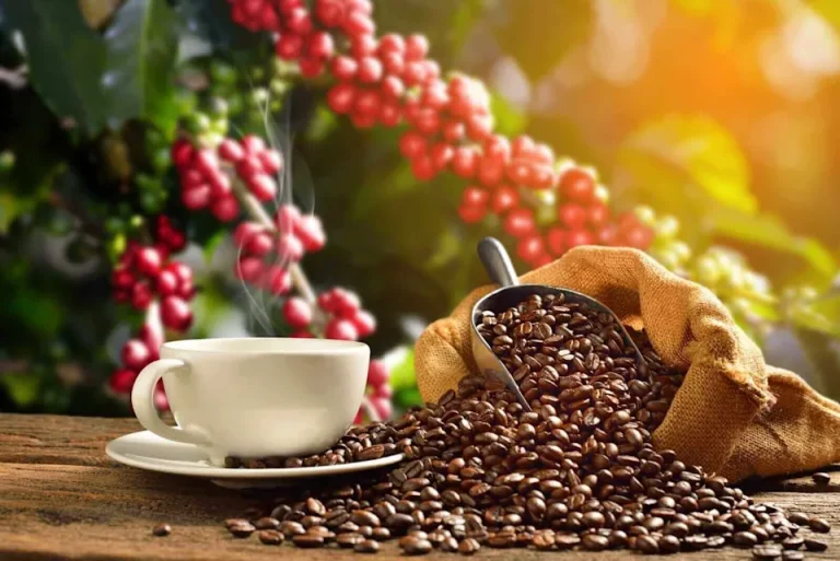 Global Coffee Prices Tumble As Supply Outlook Improves, Easing Earlier Weather Fears