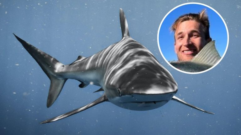 New Zealand Fishing Influencer Survives Shark Attack In Fiji, Shares Hospital Recovery Update