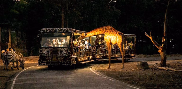 SC Clears India's First Night Safari Project: 7 Incredible Night Safaris Around The World