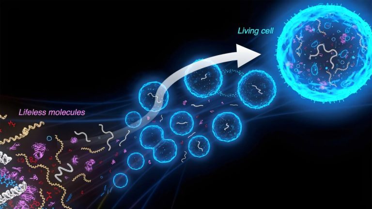 Scientists Create First-Ever Synthetic Cell From Scratch Capable of Self-Replication