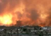 Spain Wildfire Kills 12, Forces 1,400 Evacuations As Blaze Tears Through Southern Region Spain Wildfire Kills 12, Forces 1,400 Evacuations As Blaze Tears Through Southern Region