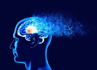 Modern Life May Be Overloading The Human Brain, New Study Suggests Modern Life May Be Overloading The Human Brain, New Study Suggests