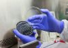 Fifth Death Reported In New York City Legionnaires’ Disease Outbreak As Investigation Continues Fifth Death Reported In New York City Legionnaires’ Disease Outbreak As Investigation Continues