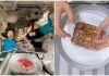 Astronauts Create Gravity-Defying ‘Space Cake’ Aboard ISS To Celebrate Birthday, Internet Is Amazed Astronauts Create Gravity-Defying ‘Space Cake’ Aboard ISS To Celebrate Birthday, Internet Is Amazed