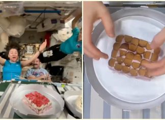 Astronauts Create Gravity-Defying ‘Space Cake’ Aboard ISS To Celebrate Birthday, Internet Is Amazed Astronauts Create Gravity-Defying ‘Space Cake’ Aboard ISS To Celebrate Birthday, Internet Is Amazed