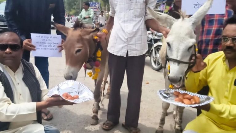 Bhopal Residents Feed Donkeys Gulab Jamuns, Pray For Better Rainfall