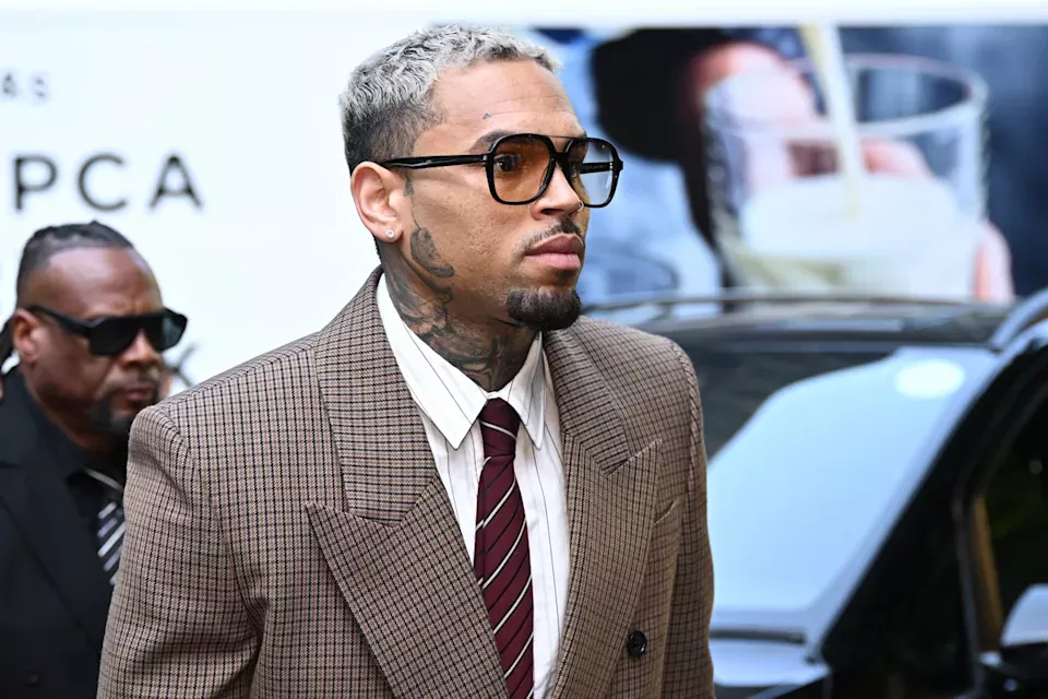 Chris Brown Ordered To Pay Nearly $13 Million After Former Housekeeper Wins Dog Attack Lawsuit