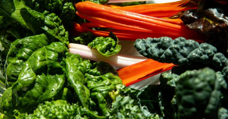 Cyclospora Outbreak Sparks Salad Safety Concerns: Should You Be Worried About Eating Lettuce?