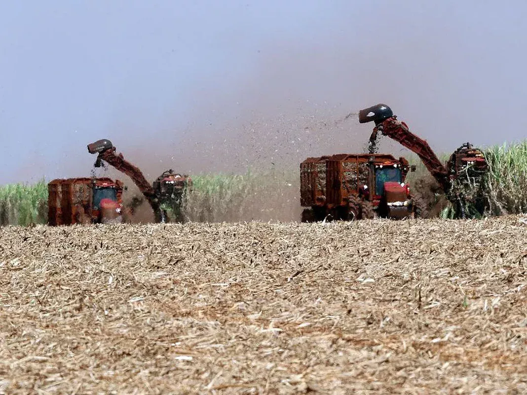 Gadkari Defends Ethanol Push, Says Biofuel Can Be Made From Rotting Fruits and Farm Waste