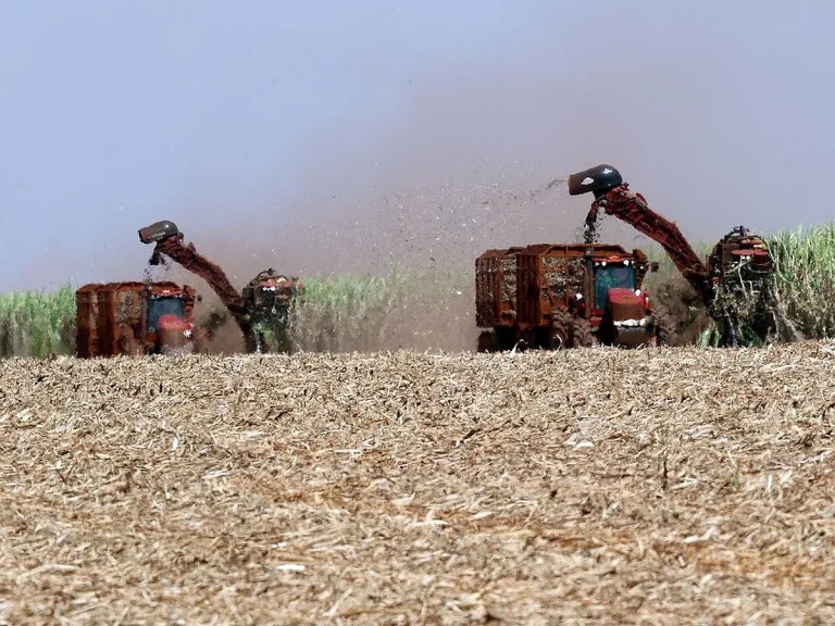 Gadkari Defends Ethanol Push, Says Biofuel Can Be Made From Rotting Fruits and Farm Waste