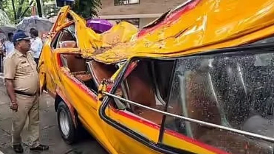 'Not In Our Hands': Maharashtra Minister on Boy's Death in Mumbai Tree Collapse