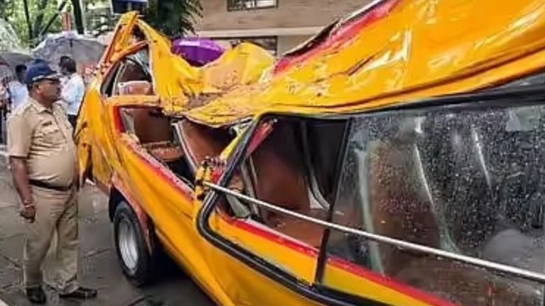 'Not In Our Hands': Maharashtra Minister on Boy's Death in Mumbai Tree Collapse