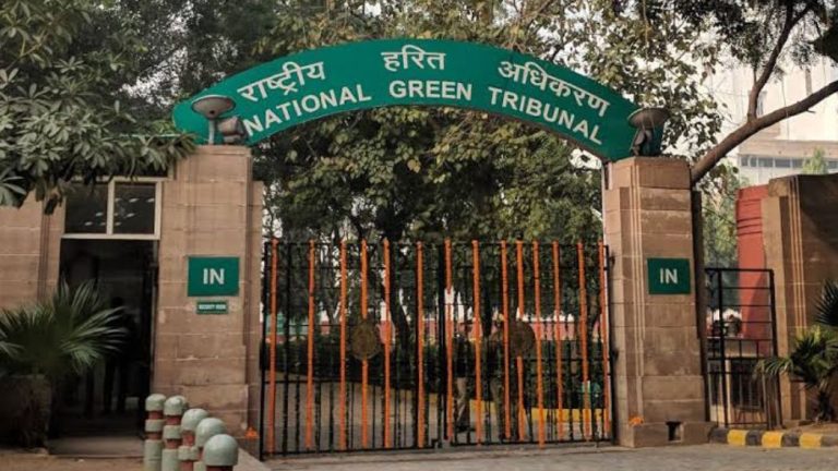 NGT Orders Probe Into Mining Near Sariska Tiger Reserve