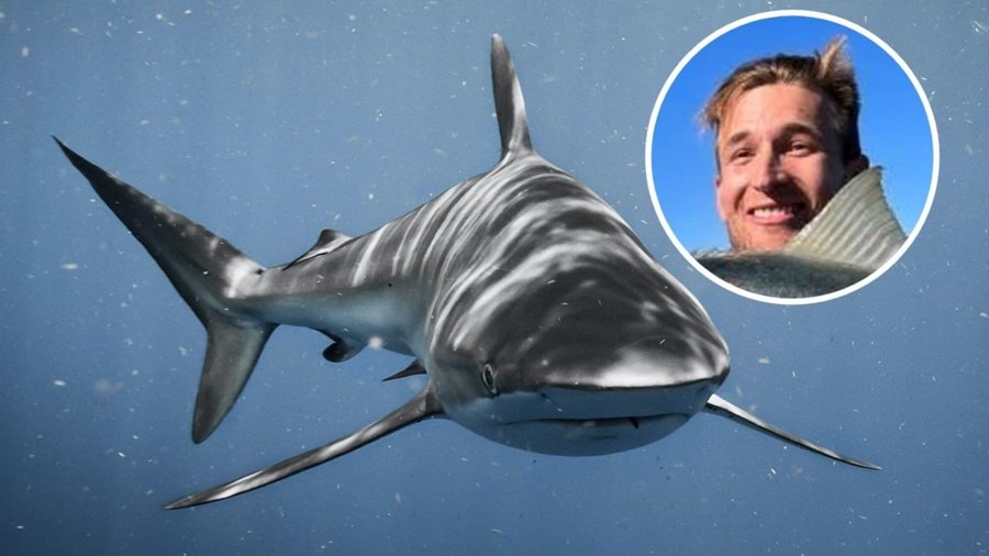 New Zealand Fishing Influencer Survives Shark Attack In Fiji, Shares Hospital Recovery Update