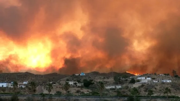 Spain Wildfire Kills 12, Forces 1,400 Evacuations As Blaze Tears Through Southern Region