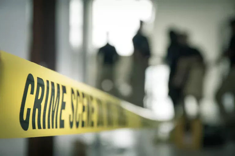 Telangana Horror: Man Allegedly Kills Wife, Two Sons And Teen POCSO Complainant Along With Her Family