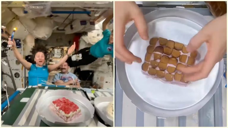 Astronauts Create Gravity-Defying ‘Space Cake’ Aboard ISS To Celebrate Birthday, Internet Is Amazed